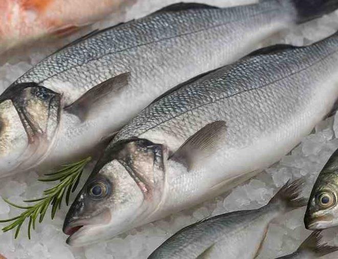 Šaubas par preferenciālā režīma pareizu piemērošanu zivīm no Senegālas