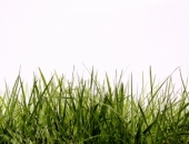 Izmaiņas vides jomā 2017.gadā