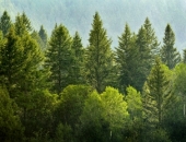 Plāno līdz 2020.gadam iesaldēt īpašumu kadastrālās vērtības