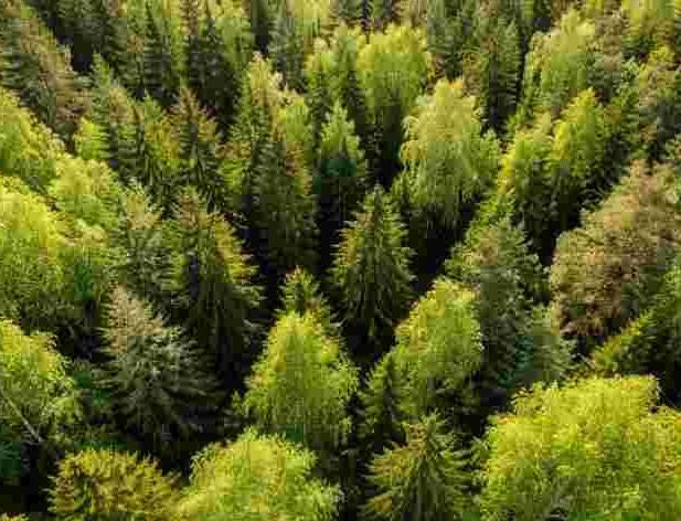 Nodokļu atvieglojumus speciālajās ekonomiskajās zonās pagarinās līdz 2050.gadam