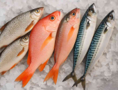 Tarifu kvotu pārdale Kaboverdes izcelsmes zivīm