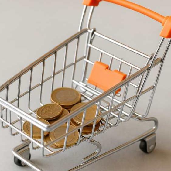 Saeimā sāk darbu pie publisko iepirkumu sistēmas reformas