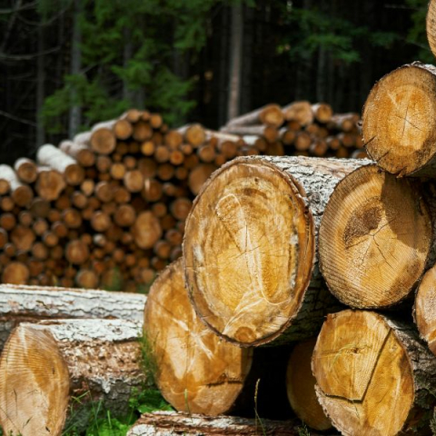 Kokmateriālu iegāde PVN deklarācijā