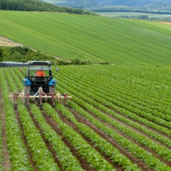 1.jūlijā stāsies spēkā izmaiņas par akcīzes nodokļa atvieglojuma piemērošanu lauksaimniecības degvielai