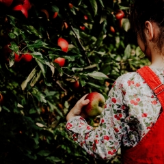 Nodokļu piemērošana, ja skolēns vasarā strādā