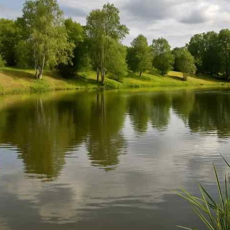 Zivsaimniecībā ES atbalstu piešķirs vienkāršoto izmaksu veidā