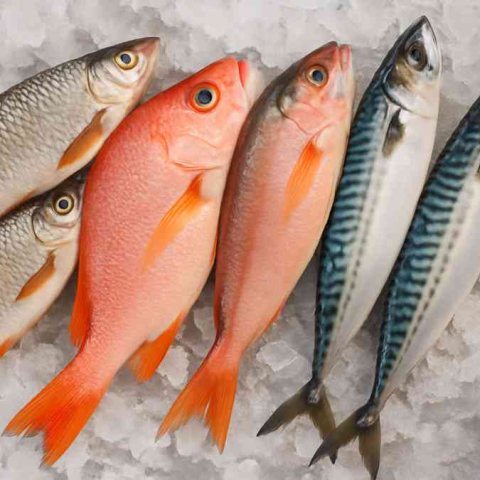 Tarifu kvotu pārdale Kaboverdes izcelsmes zivīm