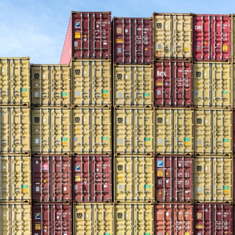 Var pieteikties atzītā OIM deklarētāja statusa saņemšanai