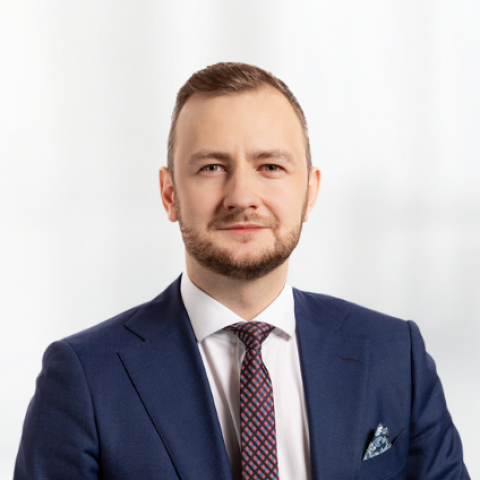 Publisko personu kapitālsabiedrību reorganizācijas process